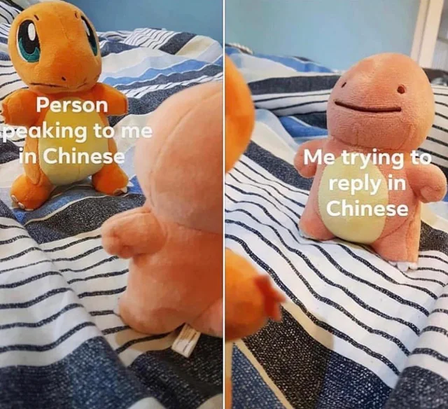 Charmander: "Person speaking to me in Chinese"
Ditto as Charmander: "Me trying to reply in Chinese"